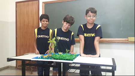 6 ANO- Trabalho de Biomas